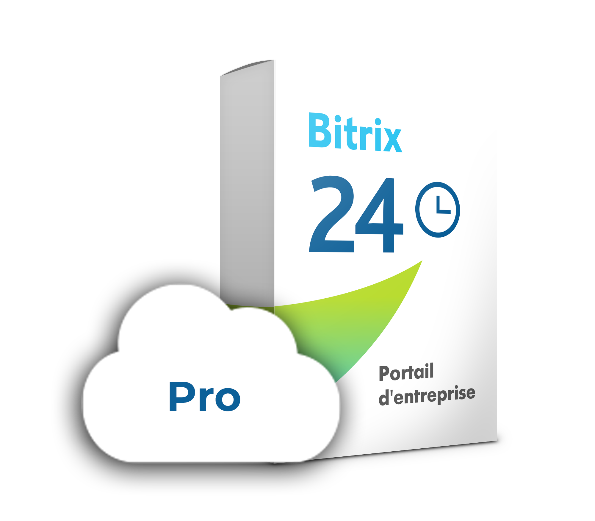 Bitrix24 Cloud Professional